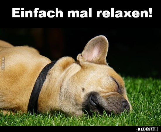 Einfach mal relaxen! - Lustige Bilder | DEBESTE.de