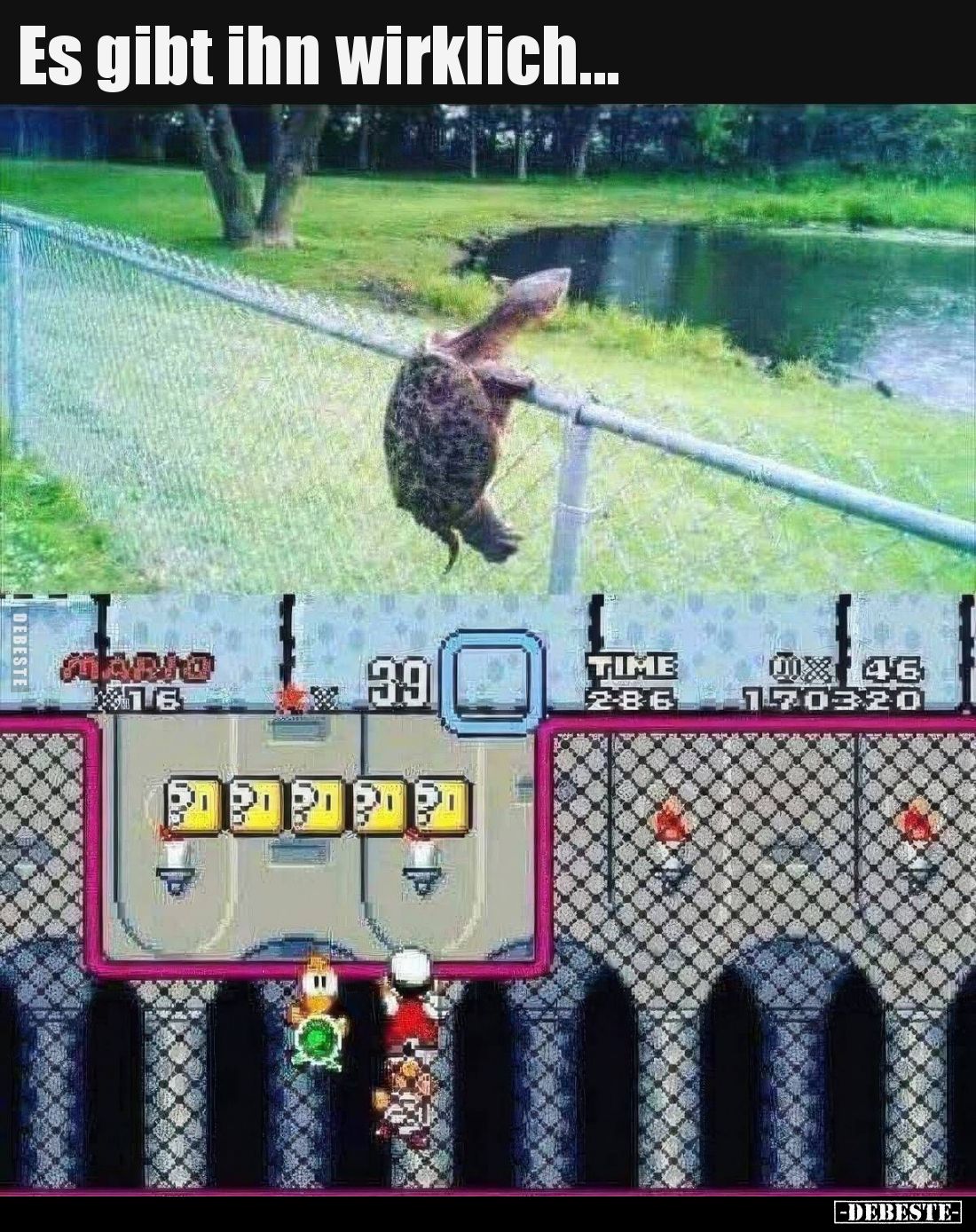 Es gibt ihn wirklich...