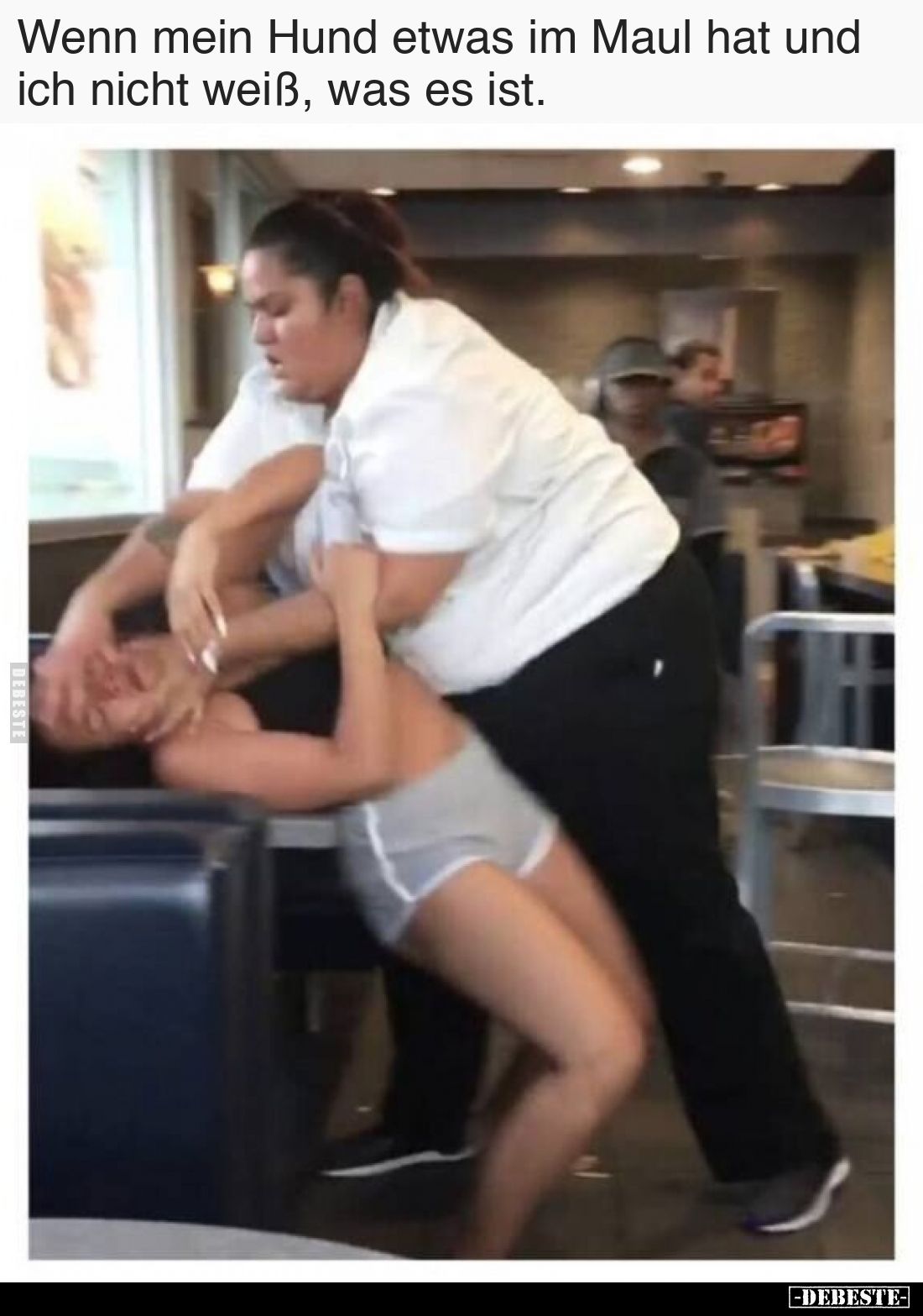 Wenn mein Hund etwas im Maul hat und ich nicht weiß, was es ist.