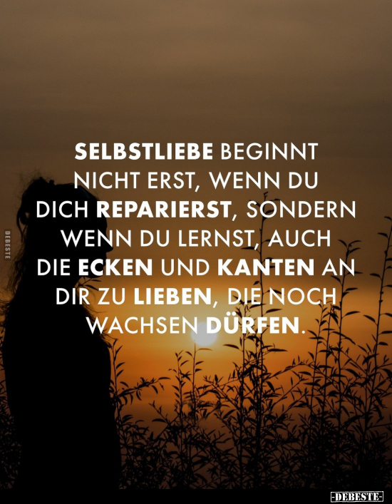 Selbstliebe beginnt nicht erst, wenn du dich reparierst.. - Lustige Bilder | DEBESTE.de