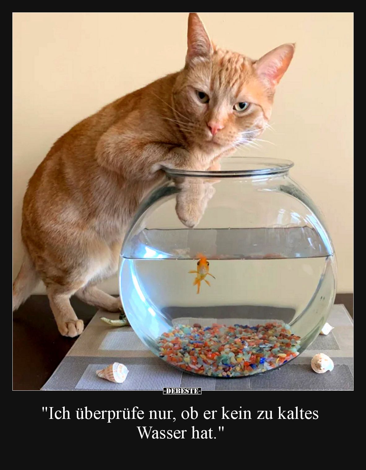 Ich überprüfe nur, ob er kein zu kaltes Wasser hat.