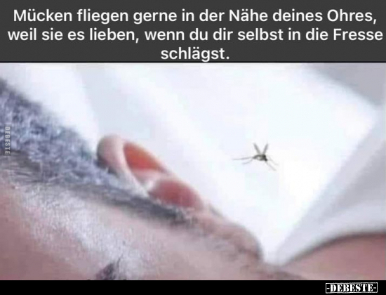 Mücken fliegen gerne in der Nähe deines Ohres, weil sie es.. - Lustige Bilder | DEBESTE.de