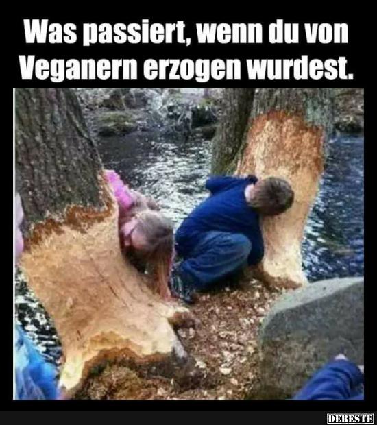 Was passiert, wenn du von Veganern erzogen wurdest.. - Lustige Bilder | DEBESTE.de