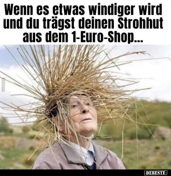 Wenn es etwas windiger wird und du trägst deinen Strohhut.. - Lustige Bilder | DEBESTE.de