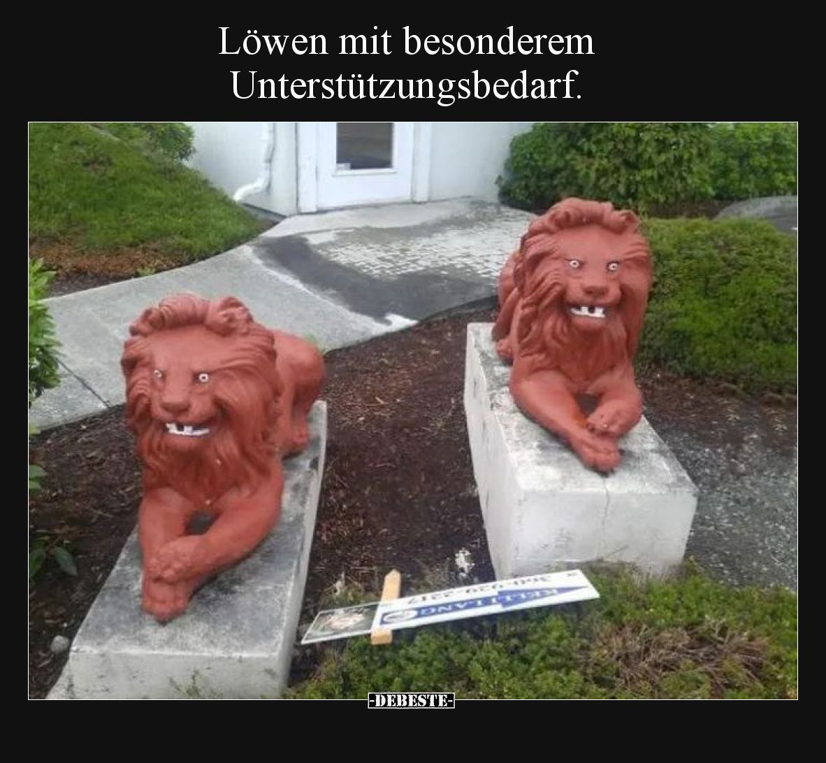 Löwen mit besonderem Unterstützungsbedarf