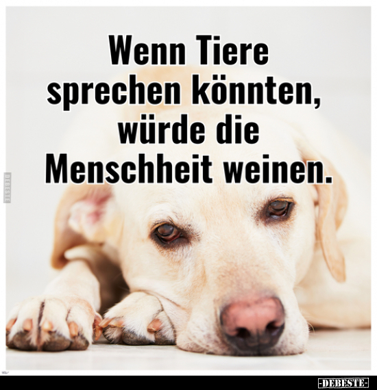 Wenn Tiere sprechen könnten, würde die Menschheit.. - Lustige Bilder | DEBESTE.de