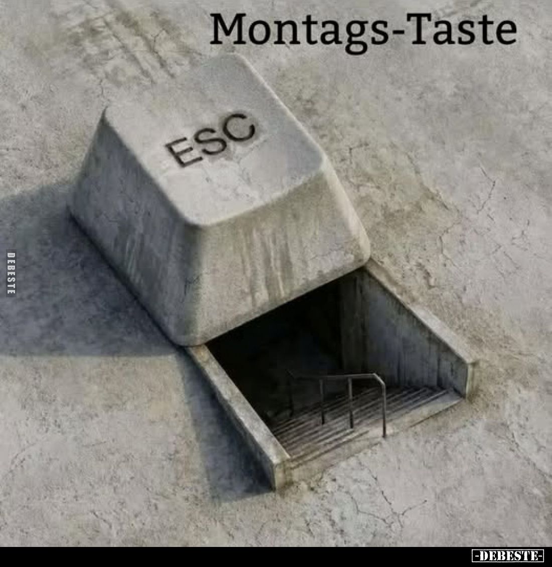 Montags-Taste.