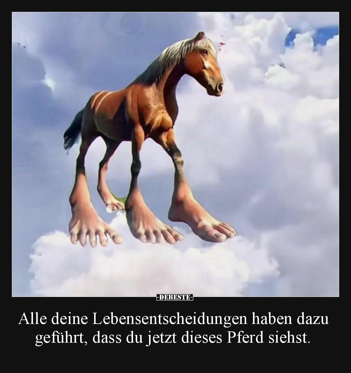 Alle deine Lebensentscheidungen haben dazu geführt, dass du jetzt dieses Pferd siehst.