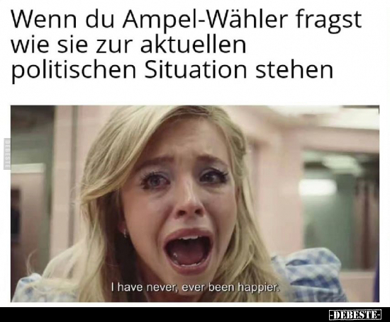 Wenn du Ampel-Wähler fragst wie sie zur aktuellen.. - Lustige Bilder | DEBESTE.de