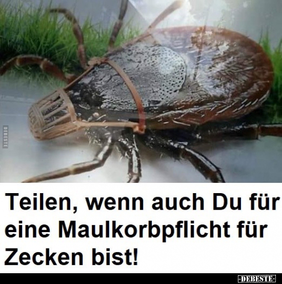 Teilen, wenn auch Du für eine Maulkorbpflicht für Zecken bist! - Lustige Bilder | DEBESTE.de