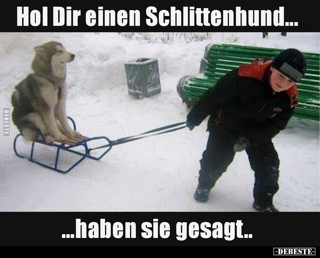 Hol Dir einen Schlittenhund...
...haben sie gesagt..