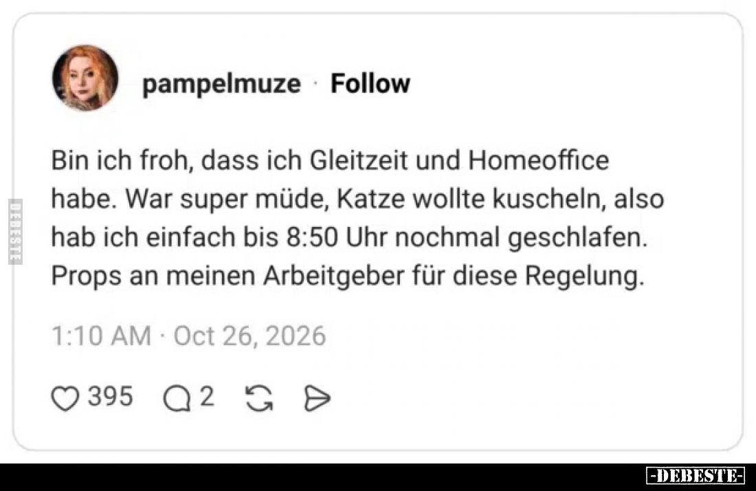 Bin ich froh, dass ich Gleitzeit und Homeoffice habe.
War super müde, Katze wollte kuscheln, also hab ich einfach bis 8:50 U...