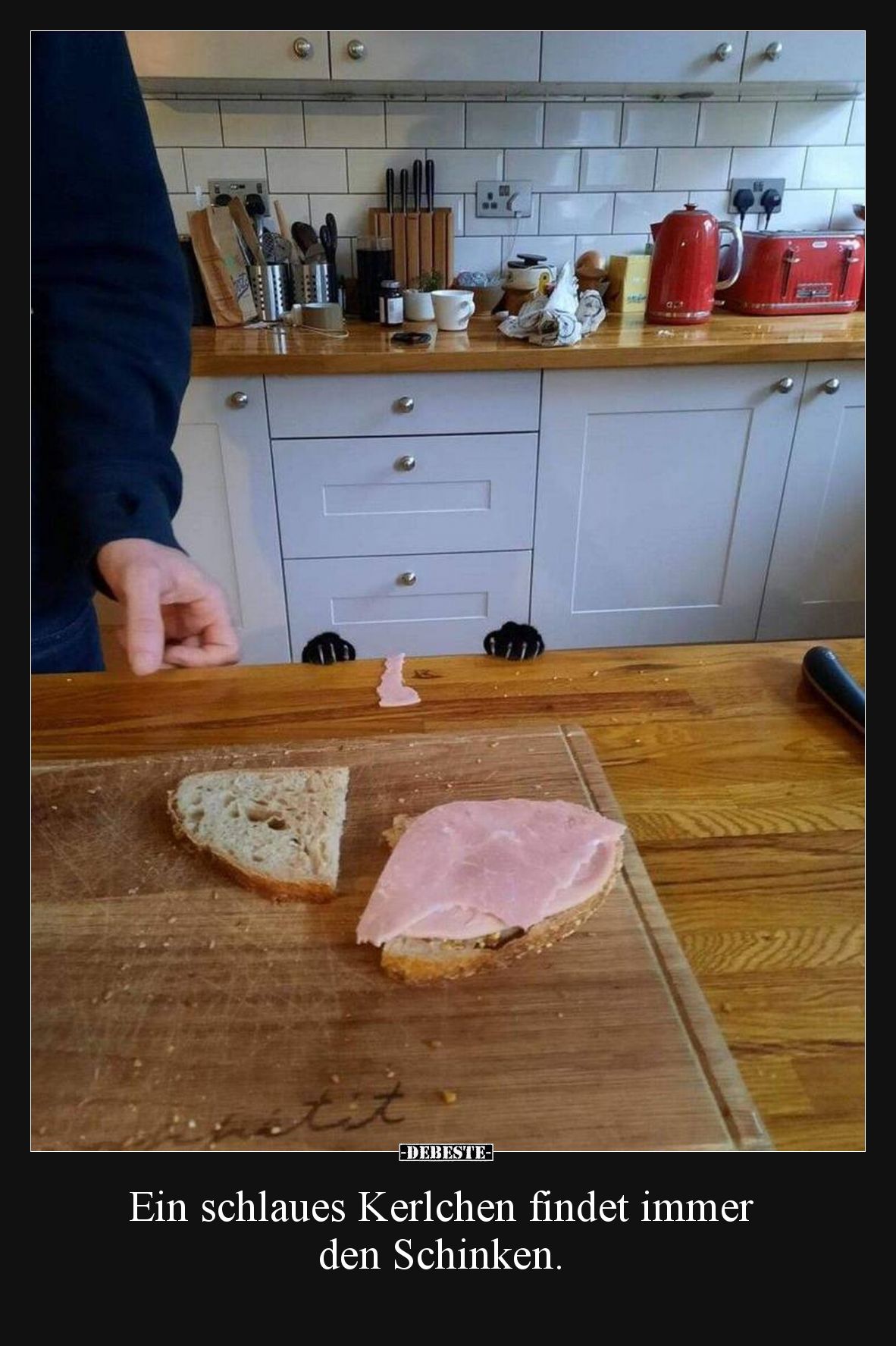 Ein schlaues Kerlchen findet immer den Schinken... - Lustige Bilder | DEBESTE.de