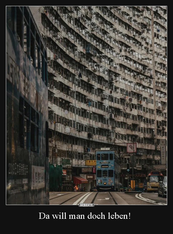 Da will man doch leben!..
