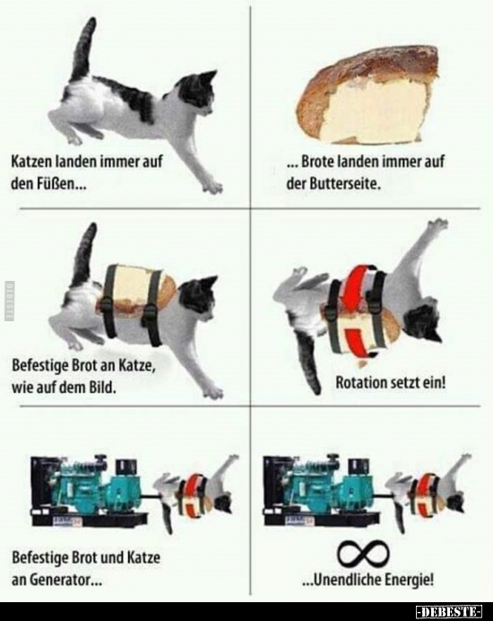 Katzen landen immer auf den Füßen... - Lustige Bilder | DEBESTE.de