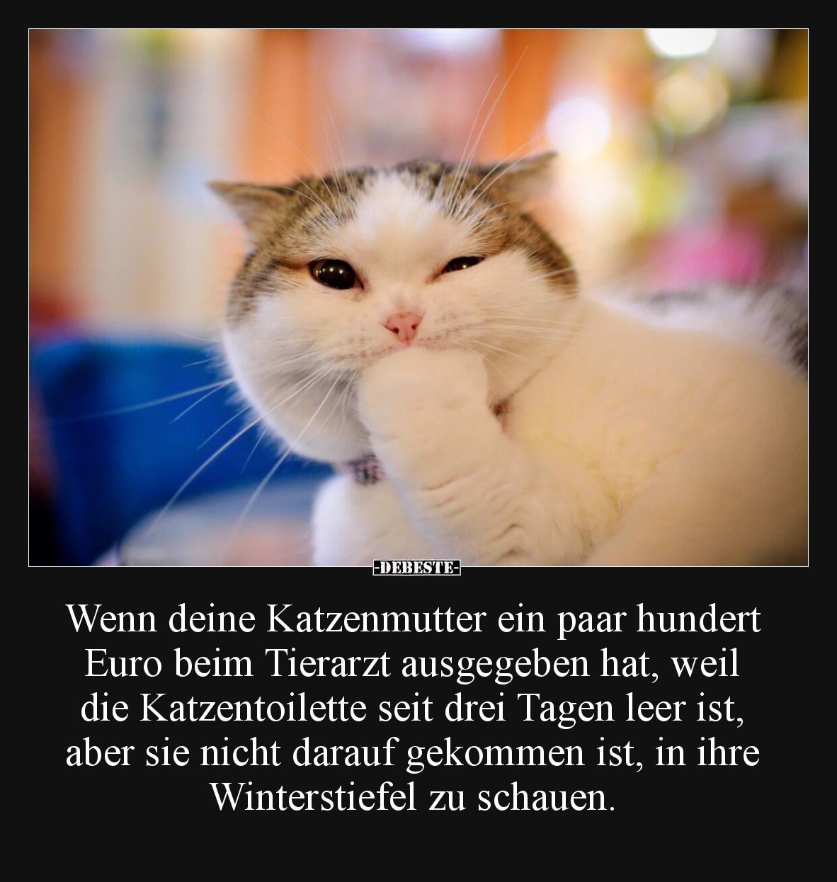 Wenn deine Katzenmutter ein paar hundert Euro beim Tierarzt ausgegeben hat, weil die Katzentoilette seit drei Tagen leer ist,...