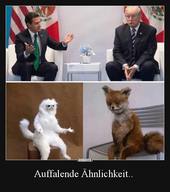 Auffalende Ähnlichkeit.. - Lustige Bilder | DEBESTE.de