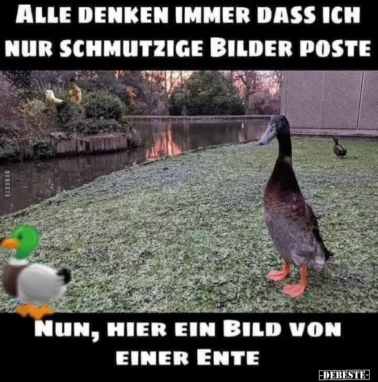 Alle denken immer dass ich nur schmutzige Bilder poste.. - Lustige Bilder | DEBESTE.de