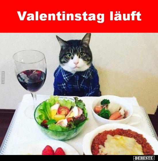 Valentinstag läuft.. - Lustige Bilder | DEBESTE.de