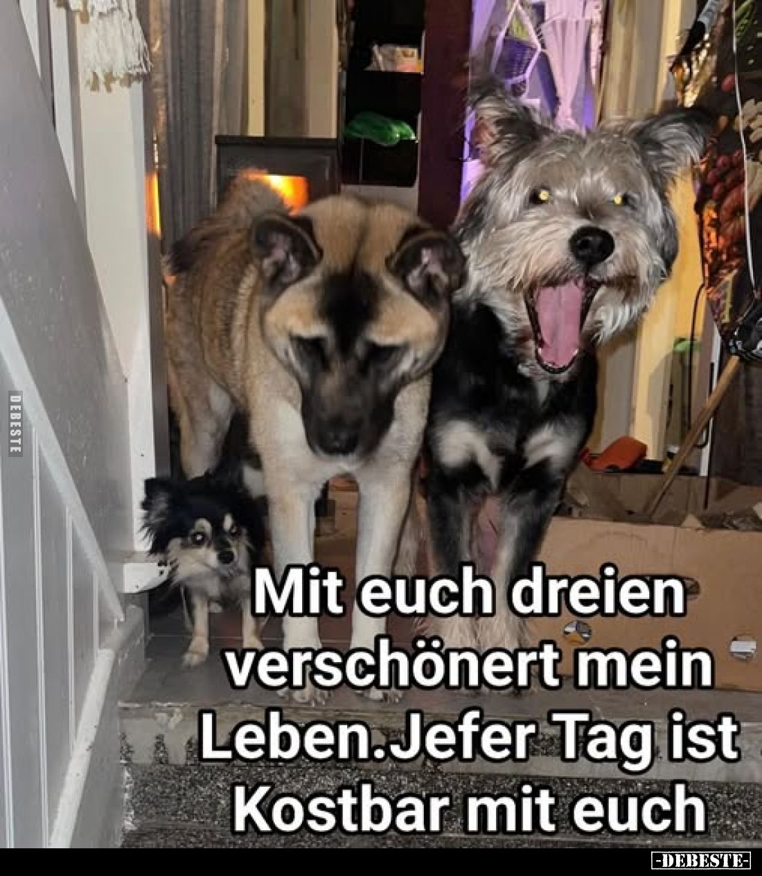 Mit euch dreien verschönert mein Leben. Jeder Tag ist Kostbar mit euch.