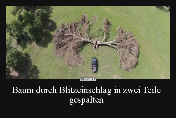 Baum durch Blitzeinschlag in zwei Teile gespalten.. - Lustige Bilder | DEBESTE.de