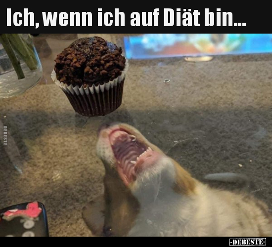 Ich, wenn ich auf Diät bin...