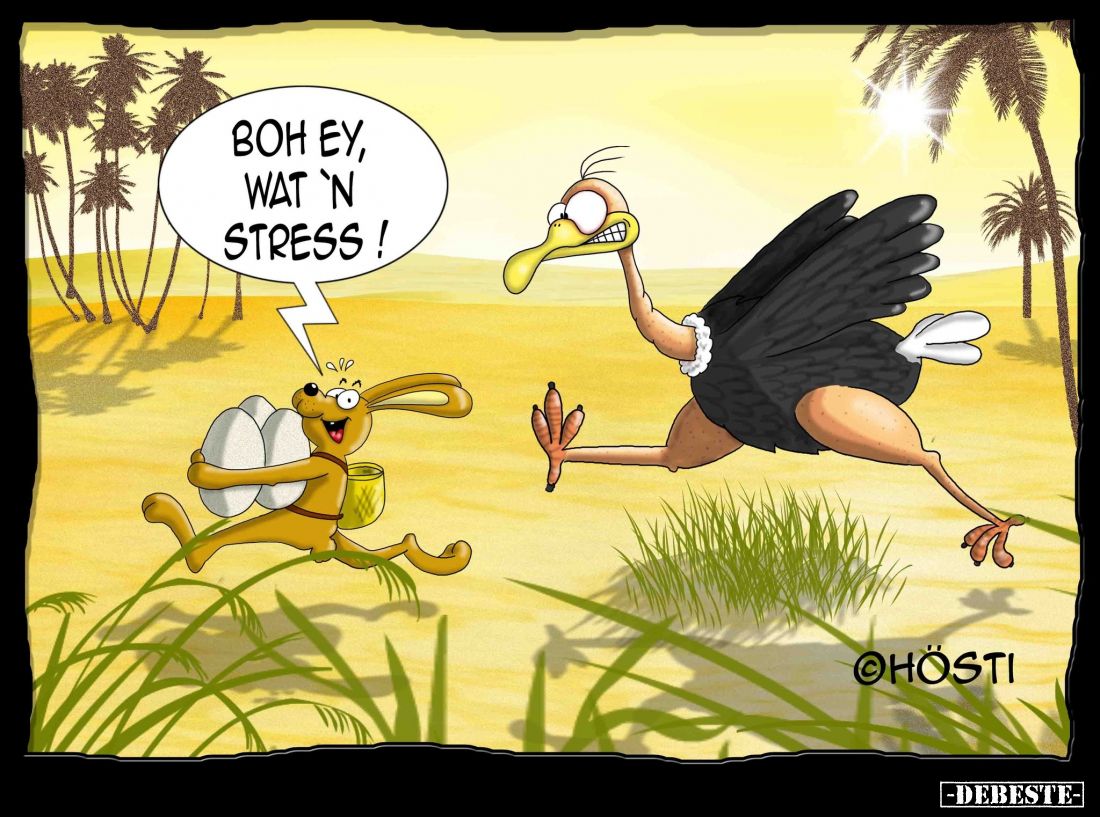 Boh ey, wat 'n Stress!