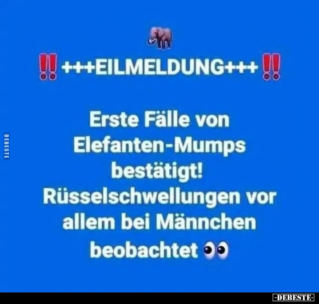 +++EILMELDUNG+++
Erste Fälle von Elefanten-Mumps bestätigt! Rüsselschwellungen vor allem bei Männchen beobachtet