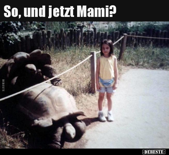So, und jetzt Mami?..