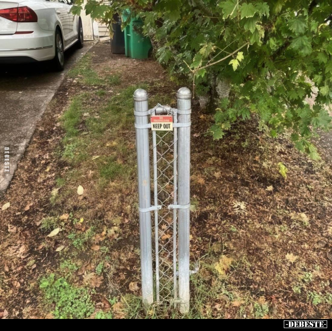  - Lustige Bilder | DEBESTE.de