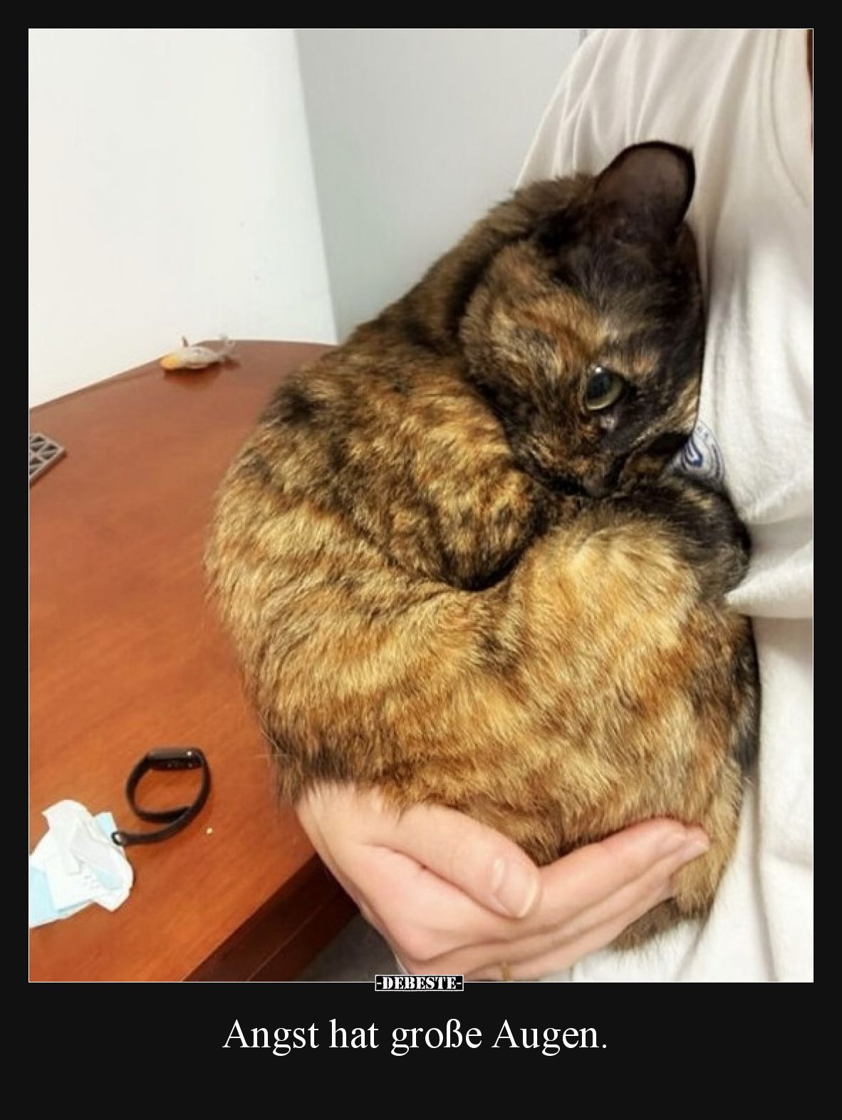 Angst hat große Augen.