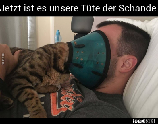 Lustige Bilder