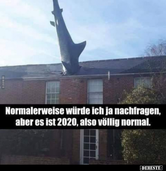 Normalerweise würde ich ja nachfragen, aber es ist 2020.. - Lustige Bilder | DEBESTE.de