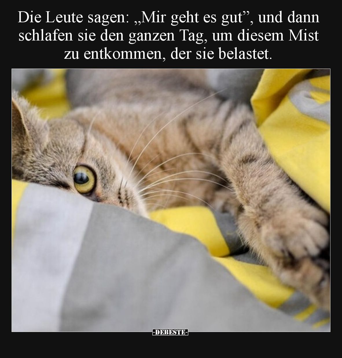 Die Leute sagen: „Mir geht es gut”, und dann schlafen sie den ganzen Tag, um diesem Mist zu entkommen, der sie belastet.