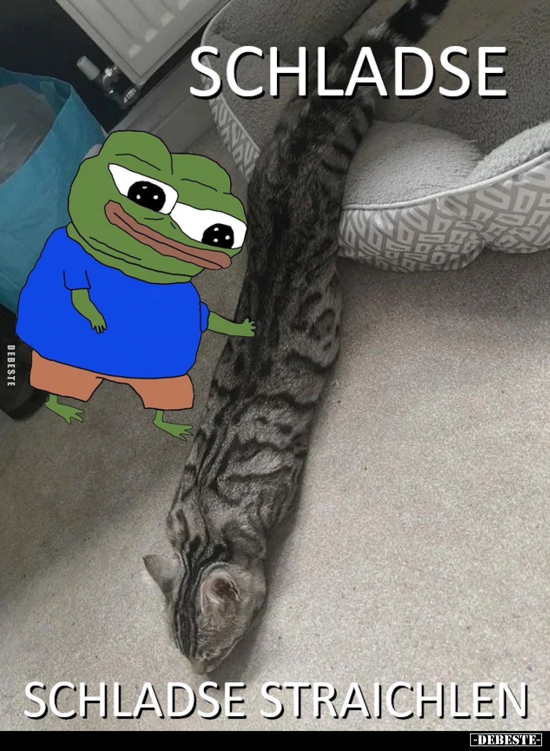  - Lustige Bilder | DEBESTE.de