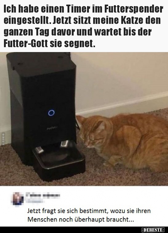 Ich habe einen Timer im Futterspender eingestellt..
