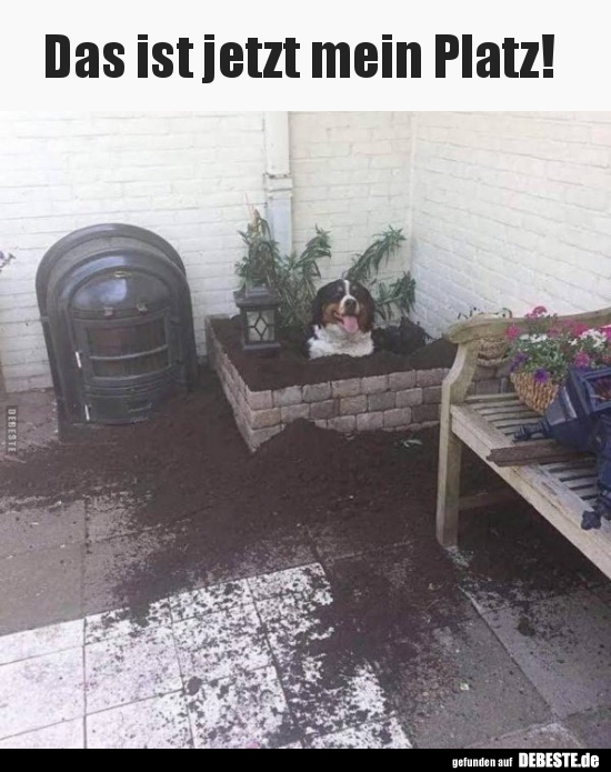 

Das ist jetzt mein Platz!

