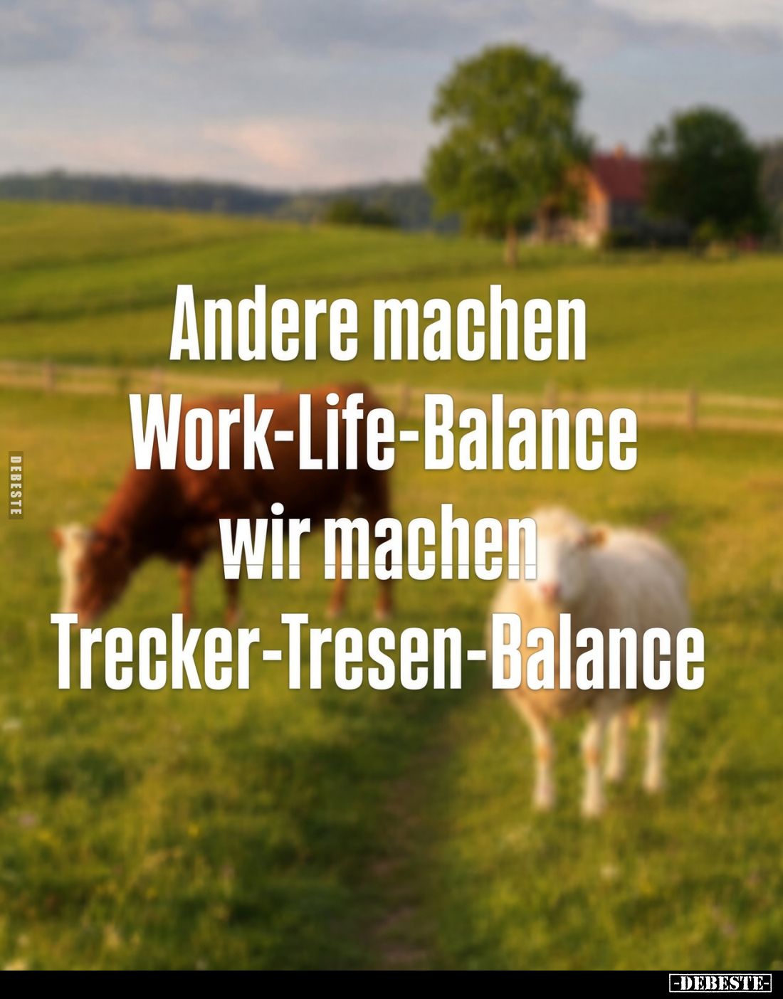 Andere machen
Work-Life-Balance,
wir machen
Trecker-Tresen-Balance.