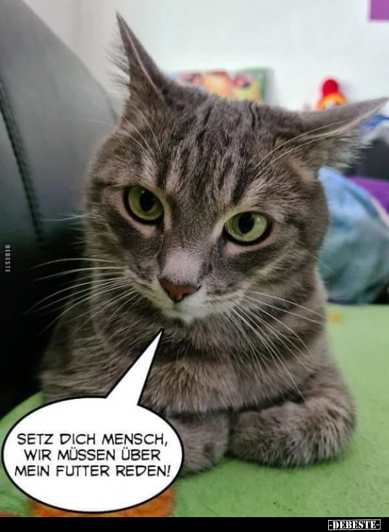 Setz dich Mensch, wir müssen über mein Futter reden!.. - Lustige Bilder | DEBESTE.de