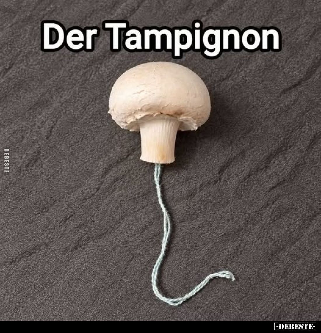 Der Tampignon