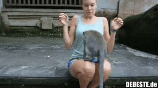 Ganz schlecht erzogen...