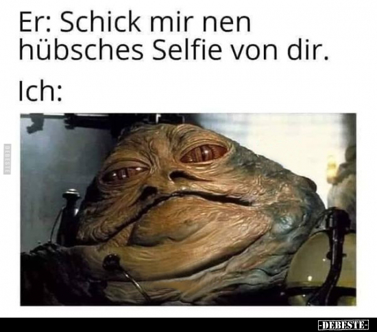 Er: Schick mir nen hübsches Selfie von dir.. - Lustige Bilder | DEBESTE.de