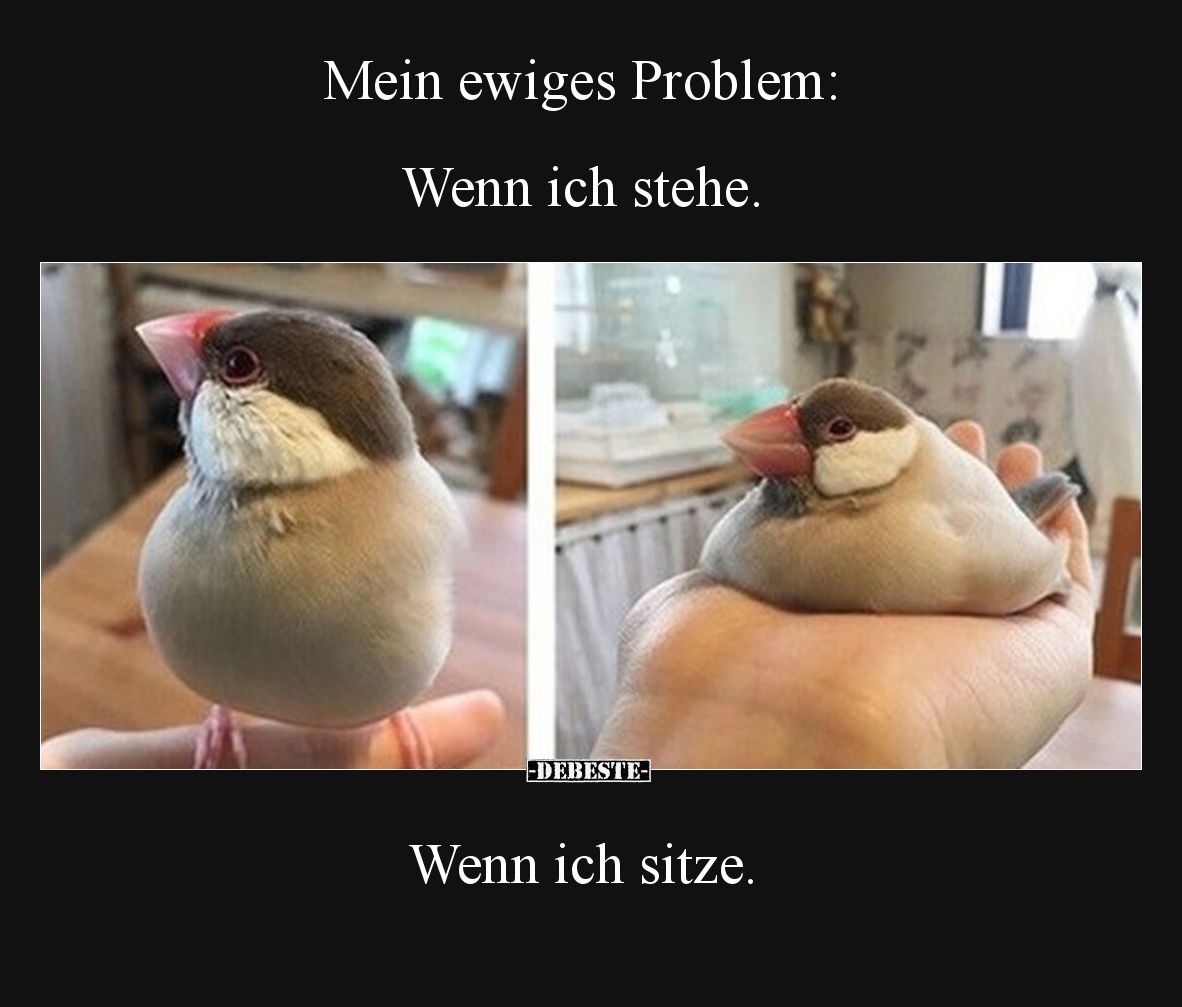 Mein ewiges Problem: Wenn ich stehe Wenn ich sitze
