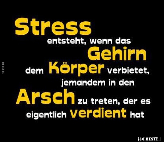 Stress entsteht, wenn das Gehirn dem Körper verbietet.. - Lustige Bilder | DEBESTE.de