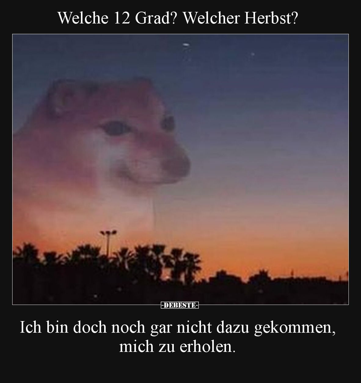 Welche 12 Grad? Welcher Herbst?

Ich bin doch noch gar nicht dazu gekommen, mich zu erholen.