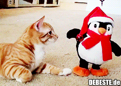 Was ist hier los? - Lustige Bilder | DEBESTE.de