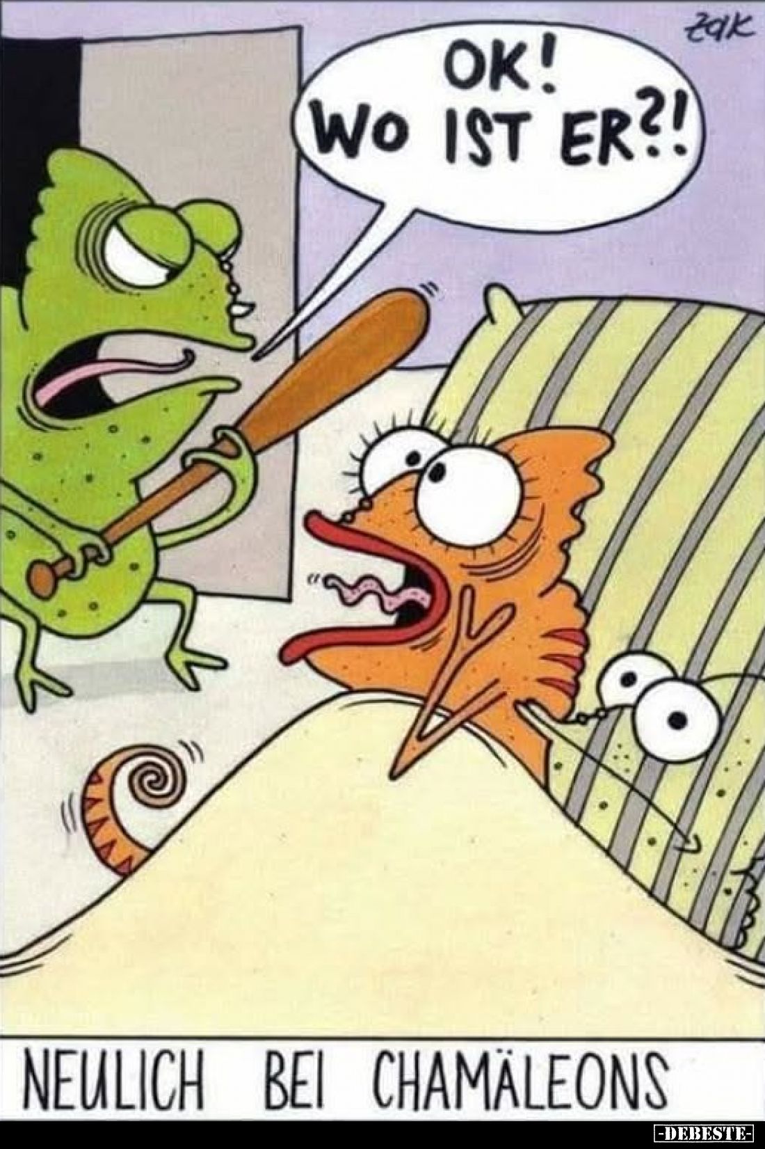 Neulich bei Chamäleons. - Ok, wo ist er!?
