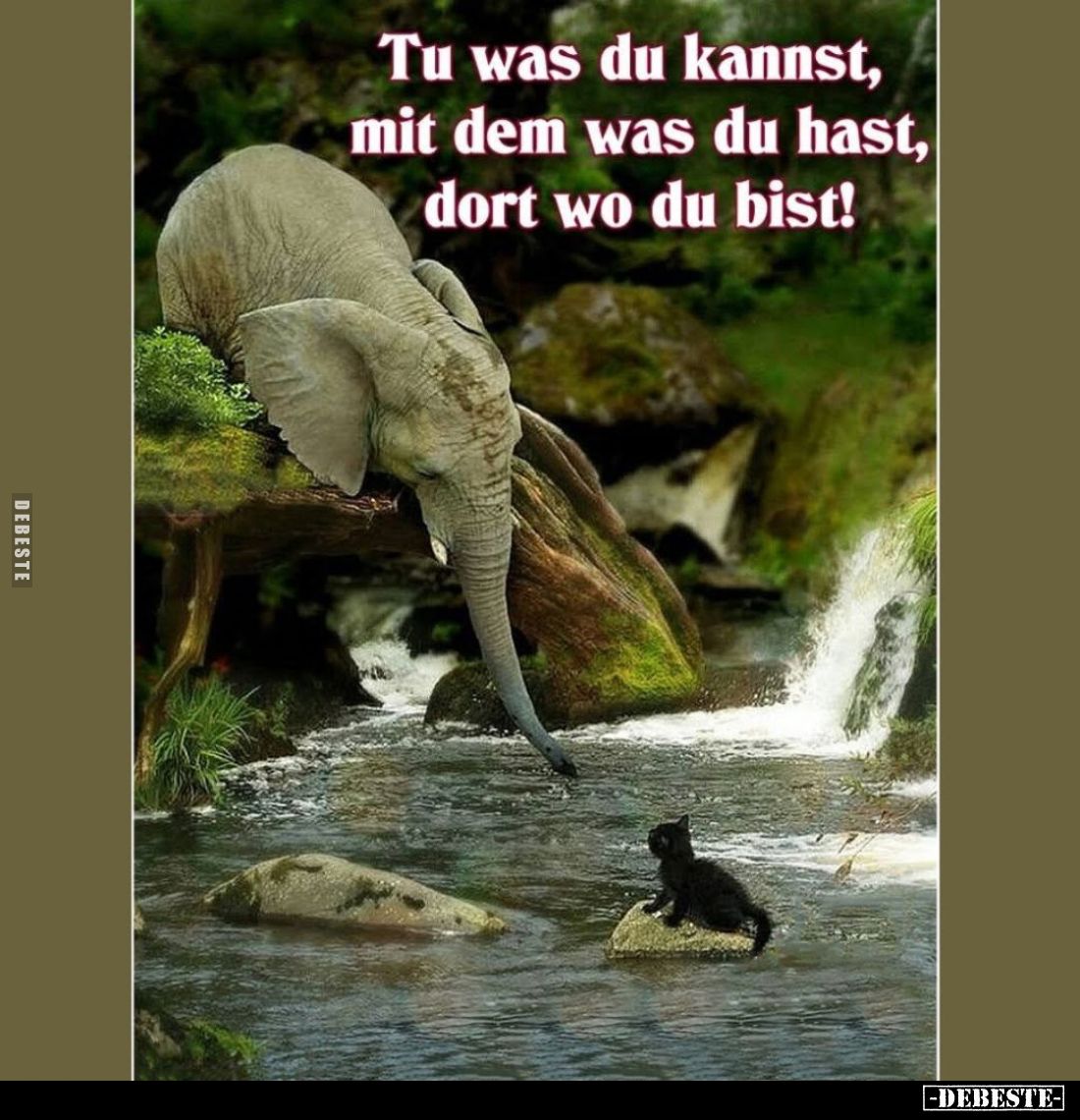 Tu was du kannst, mit dem was du hast, dort wo du bist!