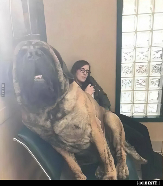  - Lustige Bilder | DEBESTE.de