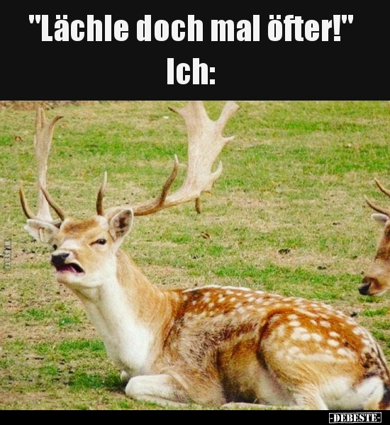 "Lächle doch mal öfter!"... - Lustige Bilder | DEBESTE.de